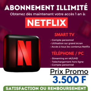 ABONNEMENT NETFLIX (1AN)