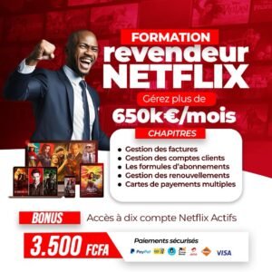 FORMATION REVENDEUR NETFLIX